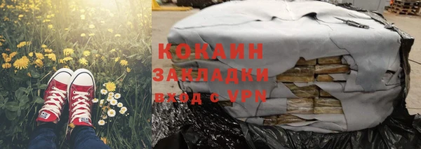 дмт Новозыбков