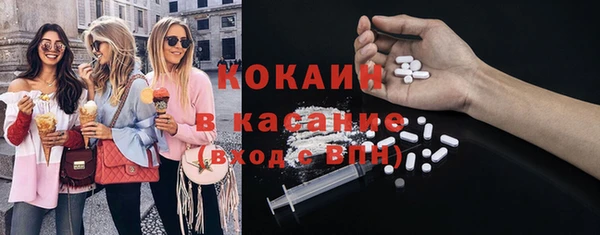 дмт Новозыбков